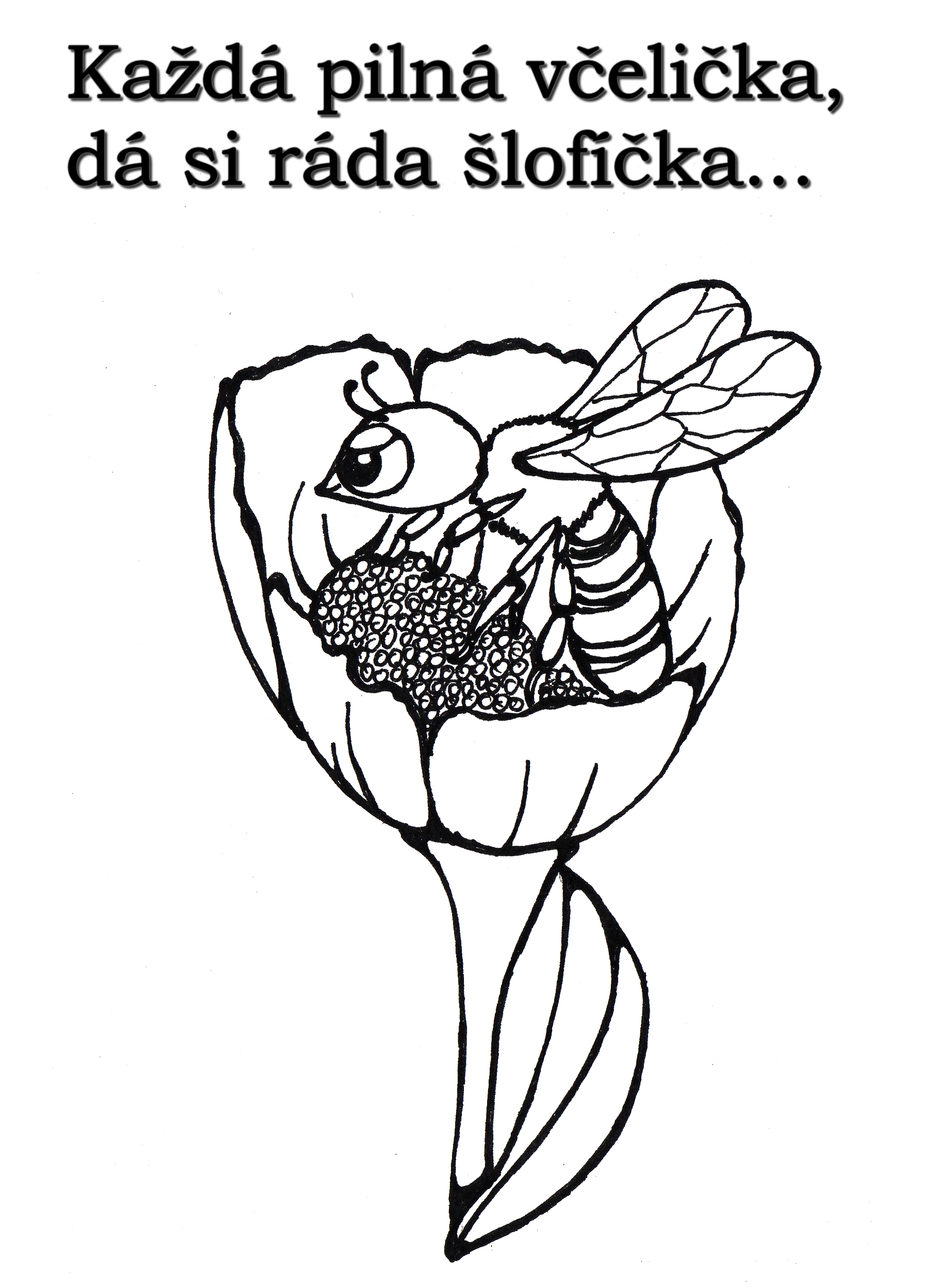 ekofarma včela1