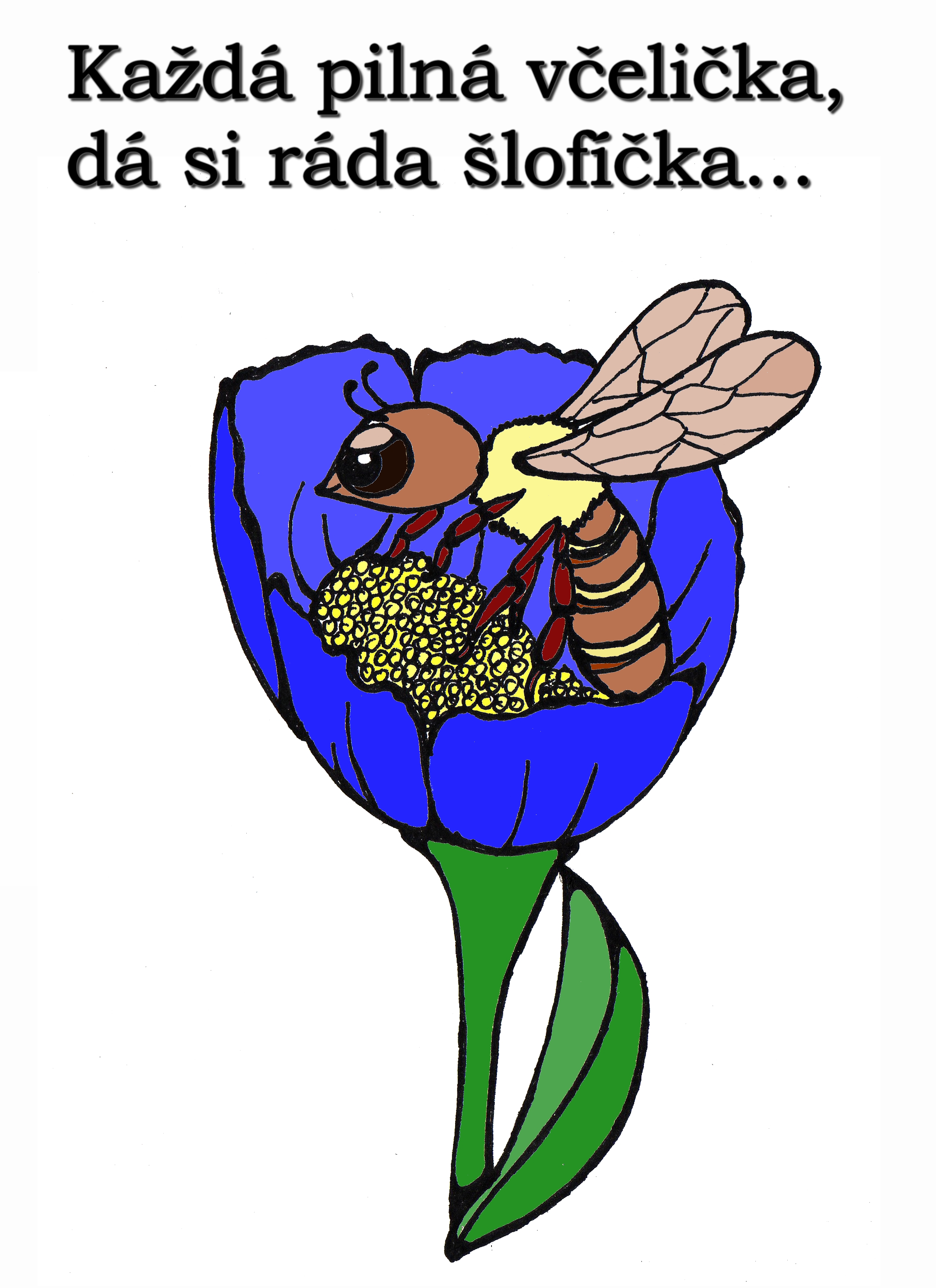 ekofarma včela2